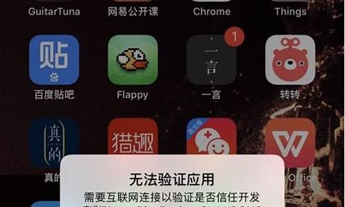 苹果已信任无法验证_苹果已信任无法验证需要互联网
