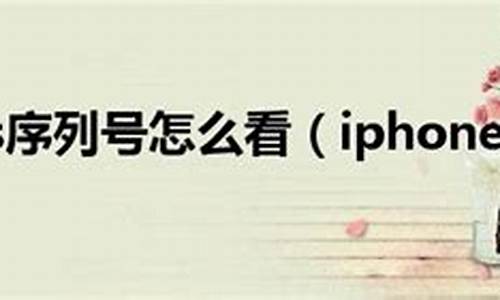 iphone4s序列号查询_苹果4s序列号查询